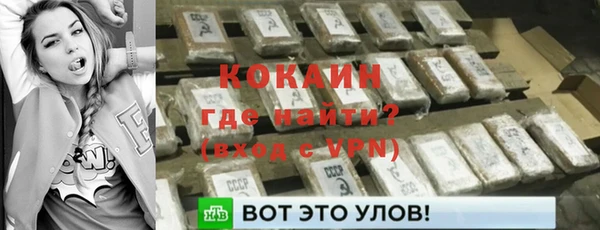 стаф Богородицк
