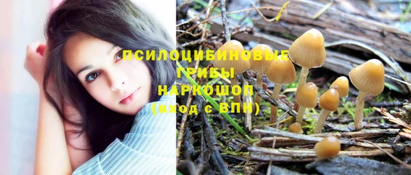 стаф Богородицк