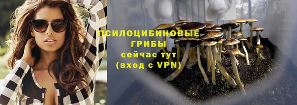 гидропоника Богородск
